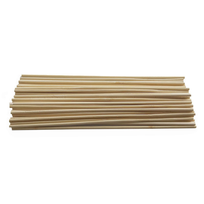 Eco-Friendly Bamboo Plant Support Sticks - Sustainable Garden Accessory