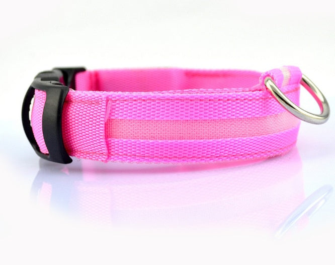 Eco-Friendly LED Safety Dog Collar for nighttime visibility