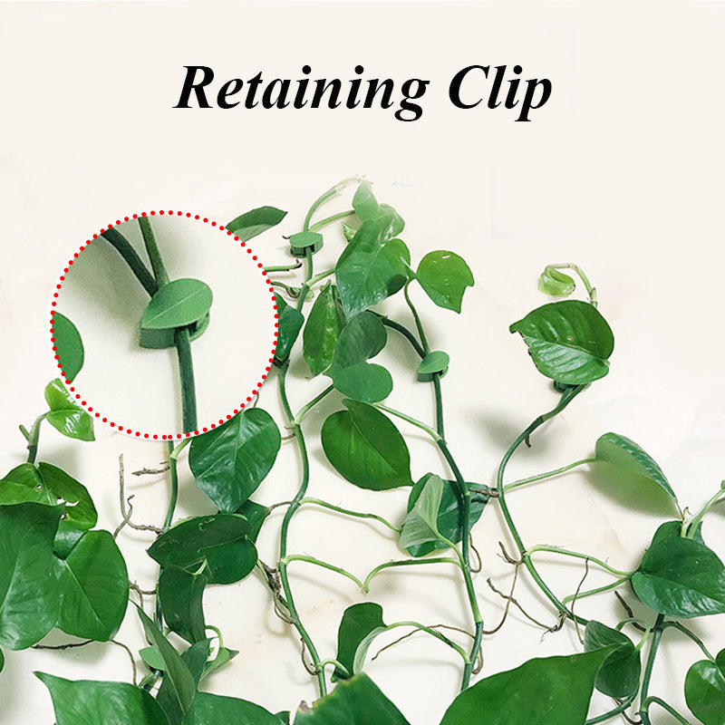 Eco-Friendly Leaf-Shaped Biodegradable Plant Clips