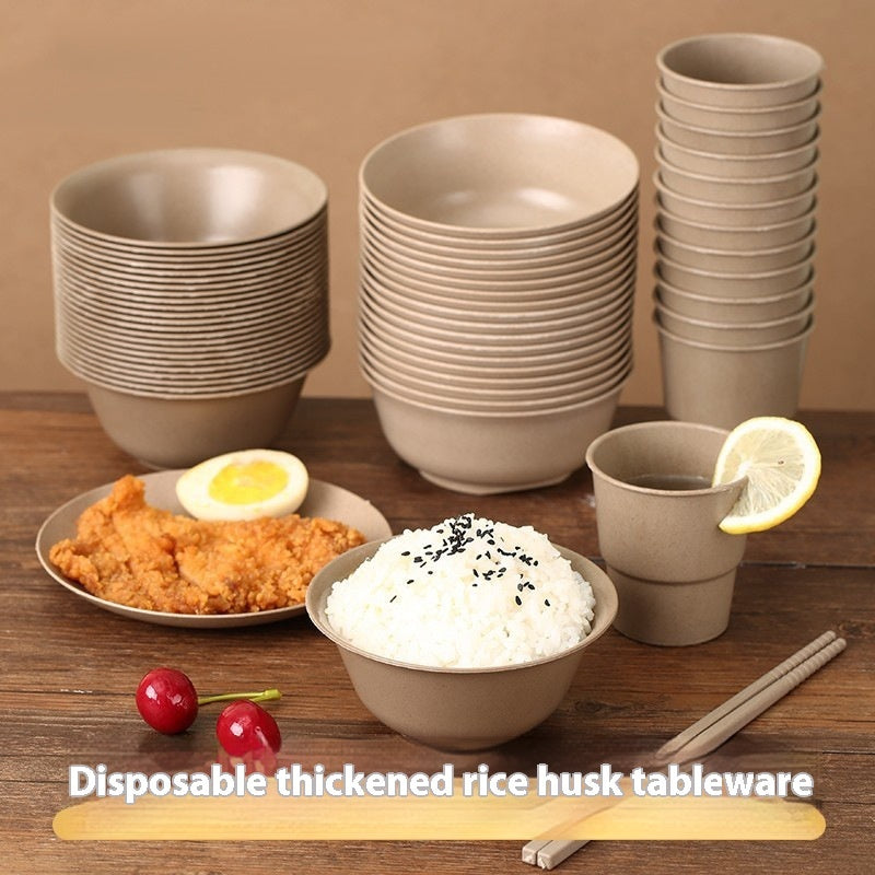 Eco-Friendly Rice Husk Bowl and Chopsticks Set