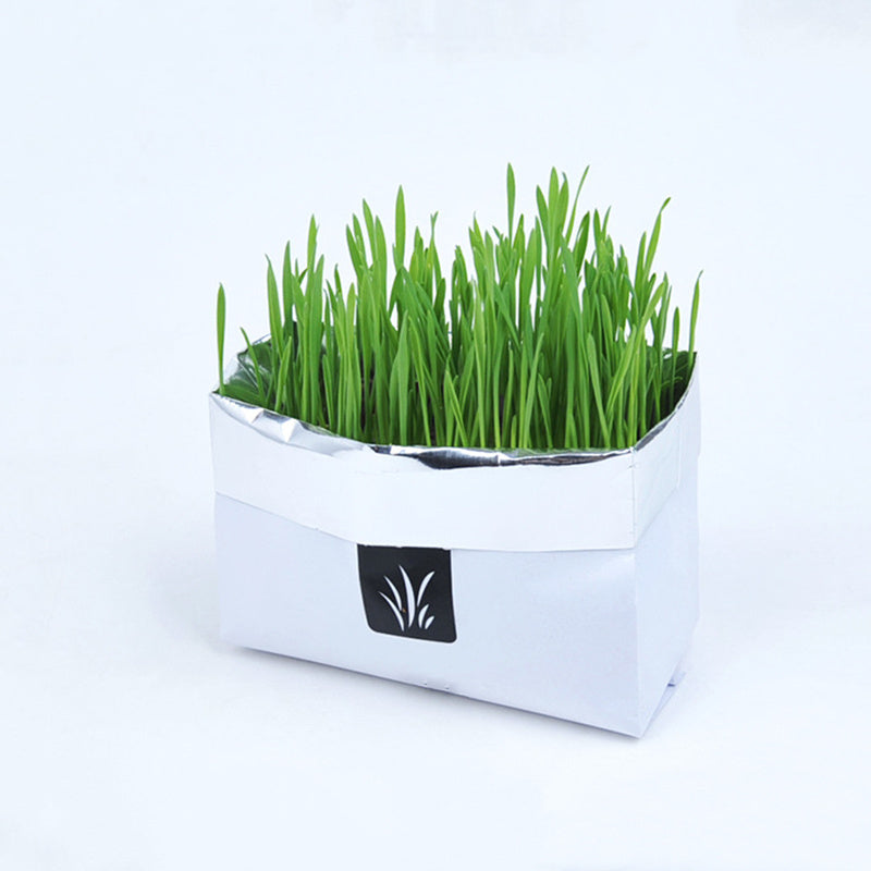 Eco-Friendly Indoor Plant Growing Kit with Biodegradable Packaging