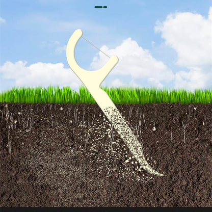 Eco-Friendly Mint Floss Picks - Biodegradable & Plastic-Free Oral Care
