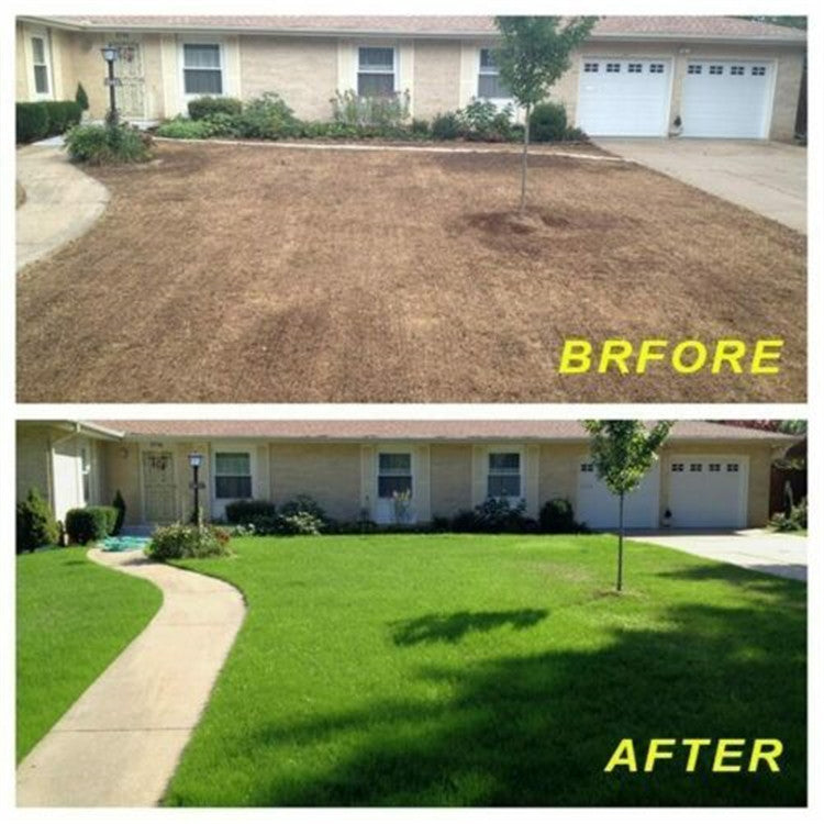 Eco-Friendly Biodegradable Grass Seed Mat for Sustainable Lawn Care