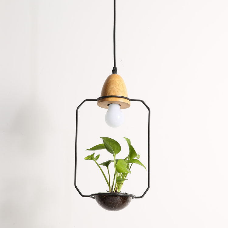 Teardrop Hanging Light Fixture with Integrated Planter - Black Frame, Wooden Accent