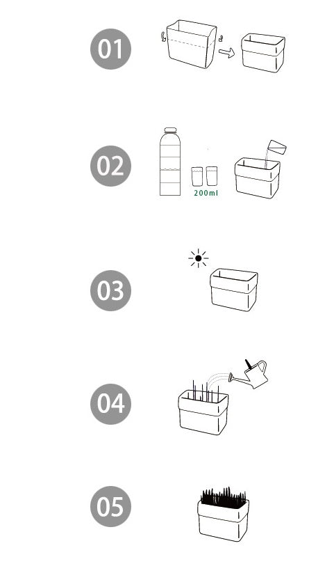 Eco-Friendly Indoor Plant Growing Kit