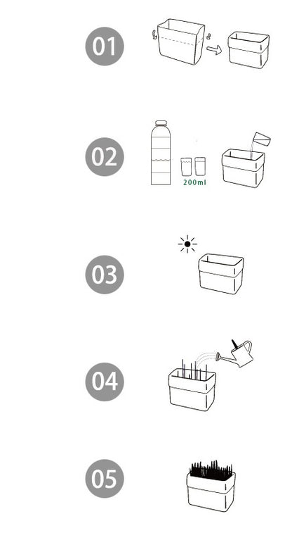 Eco-Friendly Indoor Plant Growing Kit