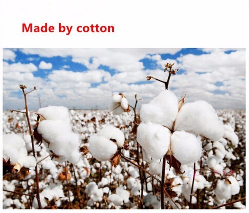 Eco-Friendly Reusable Baby Diaper