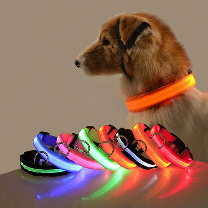 Eco-Friendly LED Safety Dog Collar for nighttime visibility