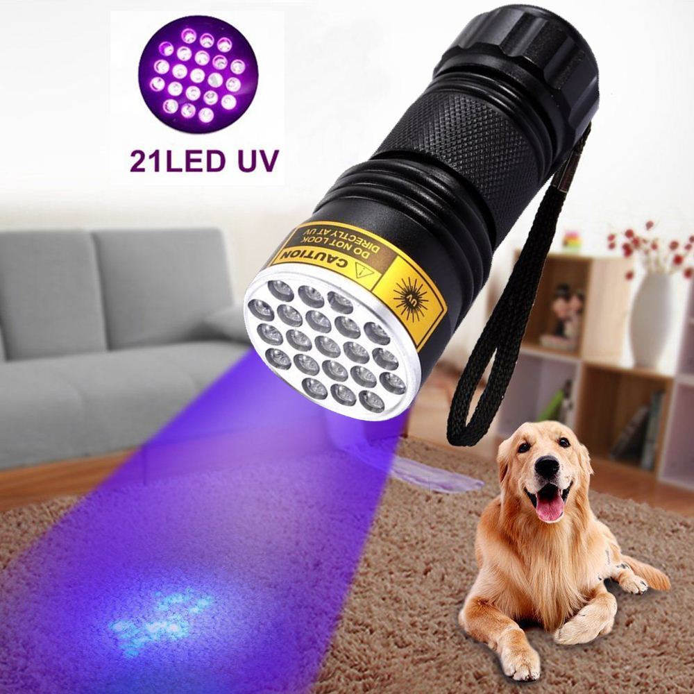 UV Flashlight for Counterfeit Detection