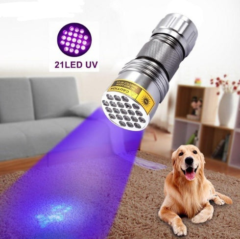 UV Flashlight for Counterfeit Detection