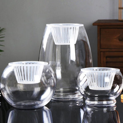 Clear Round Hydroponic Plant Vase for Indoor Gardening