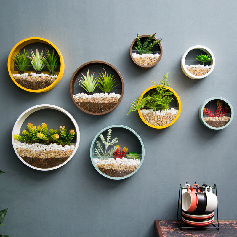 Eco-Friendly Circular Wall-Mounted Planters