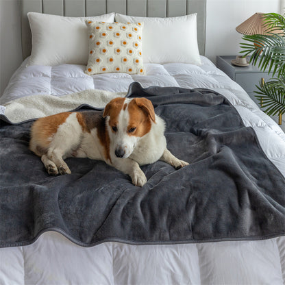 Eco-Friendly Lambswool Waterproof Pet Blanket