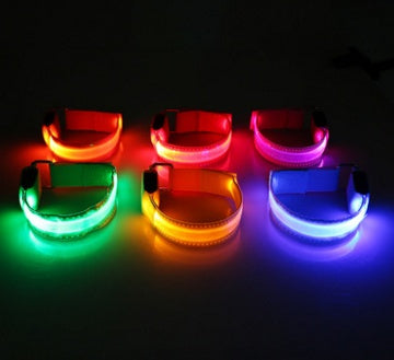 Eco-Friendly LED Safety Dog Collar for nighttime visibility
