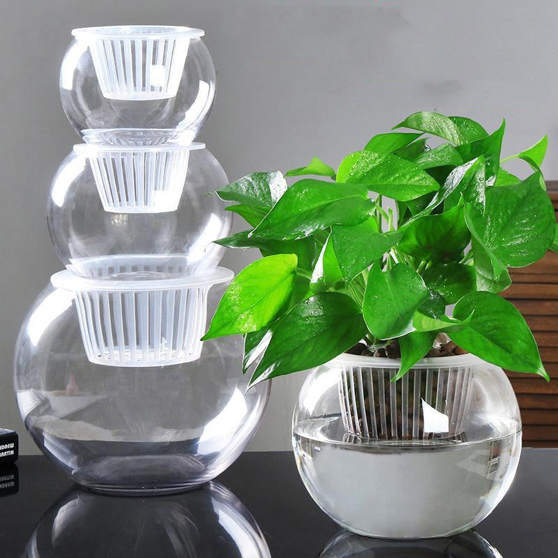 Clear round hydroponic plant vase for soil-free indoor gardening