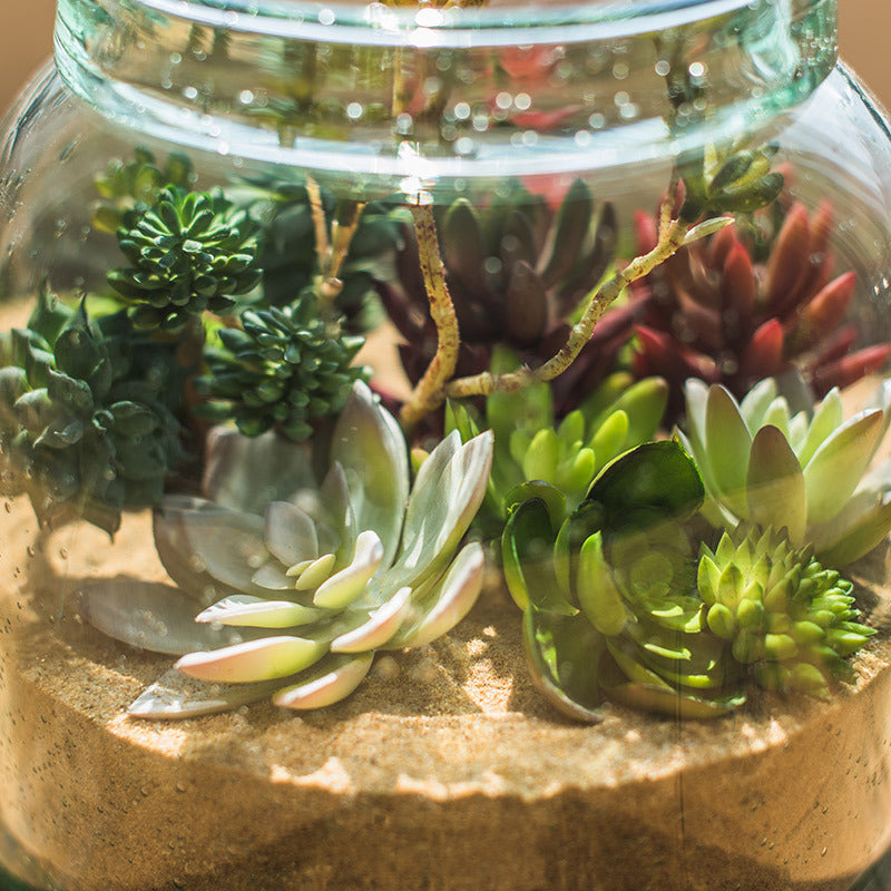 Medium-sized round glass terrarium with artificial green and red succulents
