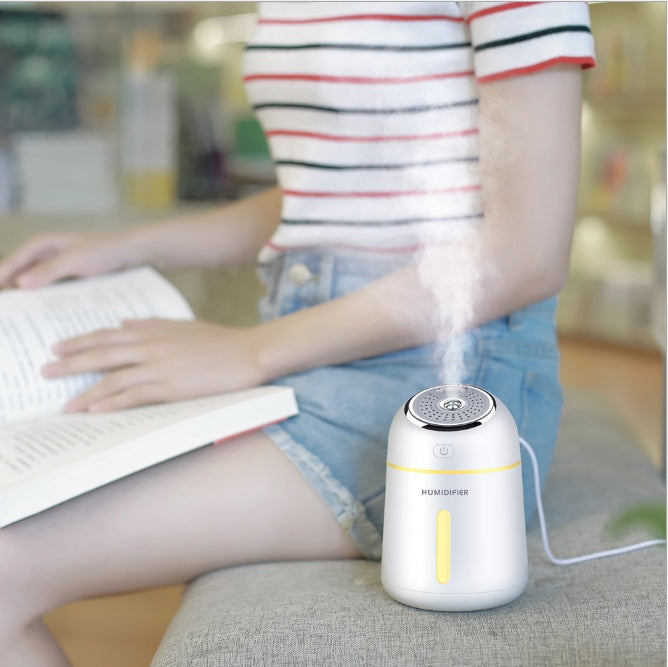 Eco-Friendly 4-in-1 Mini Ultrasonic Humidifier & Diffuser