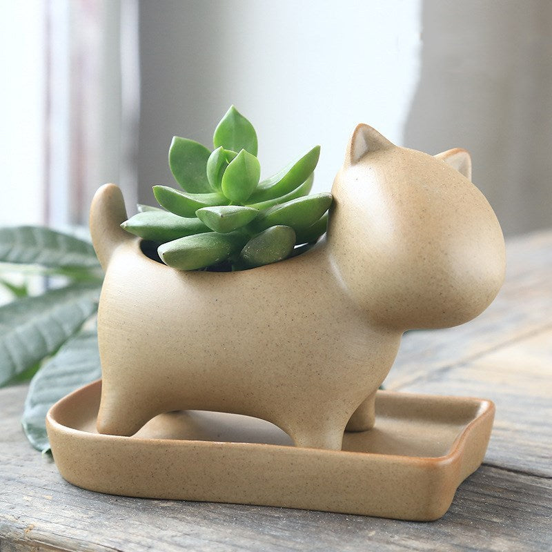 Eco-Friendly Elephant and Cat Succulent Planters