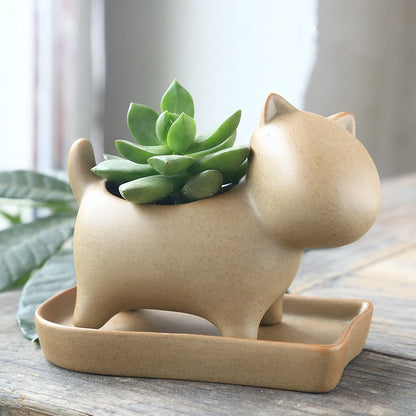 Eco-Friendly Elephant and Cat Succulent Planters