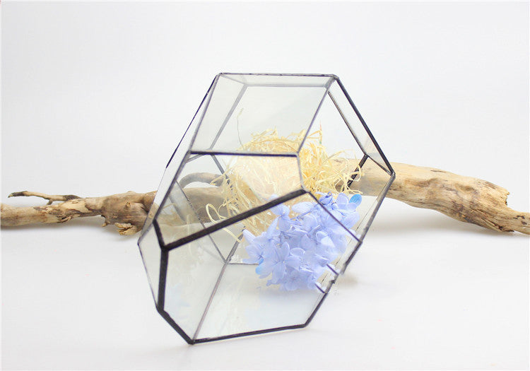 Eco-Friendly Plant Bottle for Stylish Home Decor