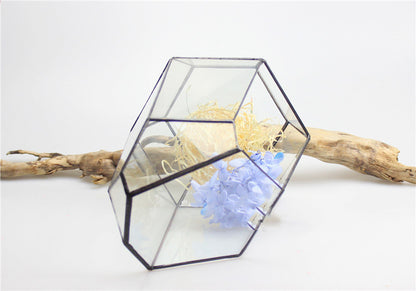 Eco-Friendly Plant Bottle for Stylish Home Decor