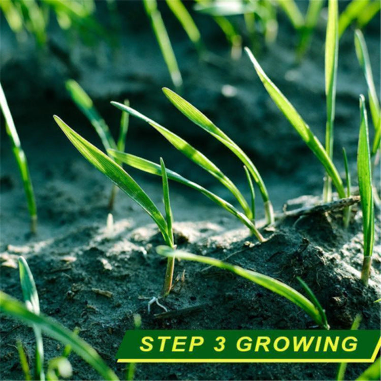 Eco-Friendly Biodegradable Grass Seed Mat for Sustainable Lawn Care