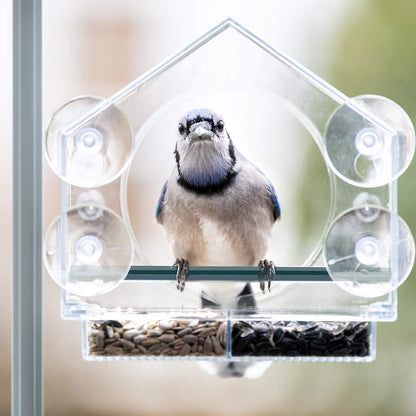 Transparent Window Bird Feeder - Eco-Friendly, Durable, Easy to Install