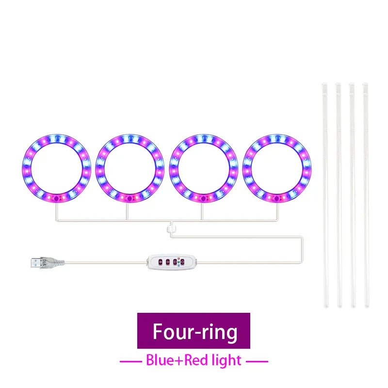 Led Angel Ring Grow Plant Light DC 5V USB Plug Phytolamp for Plants Full Spectrum Lamp For Indoor Seedlings Home Flower Succulet