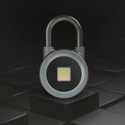 APP Smart Fingerprint Padlock Waterproof  Biometric Padlocks With Buit-in Rechargeable Battery USB Charge