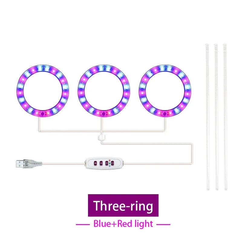 Led Angel Ring Grow Plant Light DC 5V USB Plug Phytolamp for Plants Full Spectrum Lamp For Indoor Seedlings Home Flower Succulet