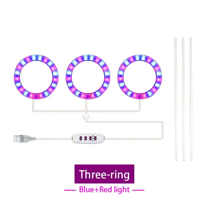 Led Angel Ring Grow Plant Light DC 5V USB Plug Phytolamp for Plants Full Spectrum Lamp For Indoor Seedlings Home Flower Succulet
