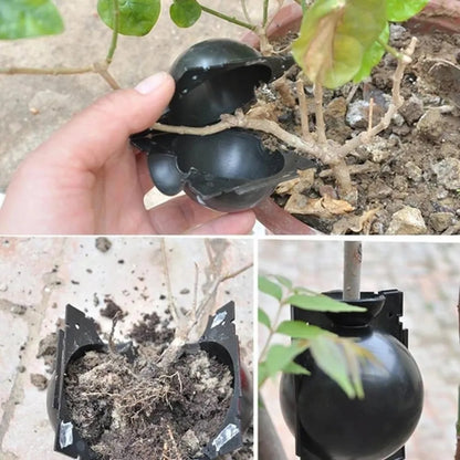 1pcs Reusable Plant Root Growing Box Cutting Grafting Rooting Ball Garden Rooting Propagation Ball Breeding Equipment