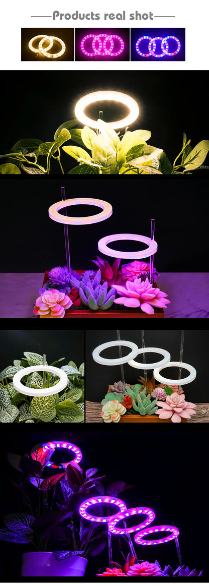 Led Angel Ring Grow Plant Light DC 5V USB Plug Phytolamp for Plants Full Spectrum Lamp For Indoor Seedlings Home Flower Succulet