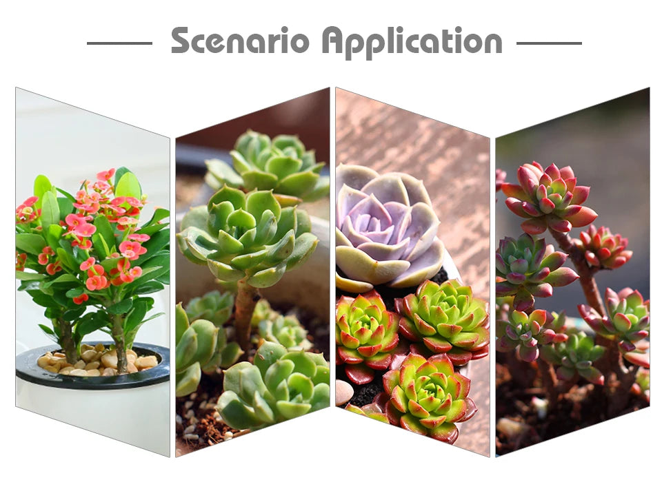 Led Angel Ring Grow Plant Light DC 5V USB Plug Phytolamp for Plants Full Spectrum Lamp For Indoor Seedlings Home Flower Succulet