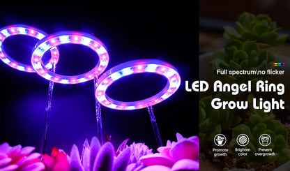 Led Angel Ring Grow Plant Light DC 5V USB Plug Phytolamp for Plants Full Spectrum Lamp For Indoor Seedlings Home Flower Succulet