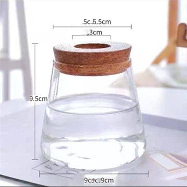 Eco-Friendly Glass Gardening Vase for Home & Office