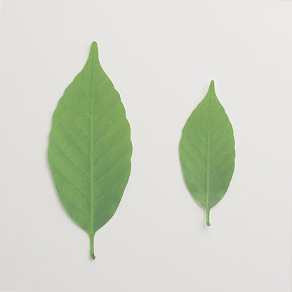 Color-Changing Leaf Thermometer Bookmark