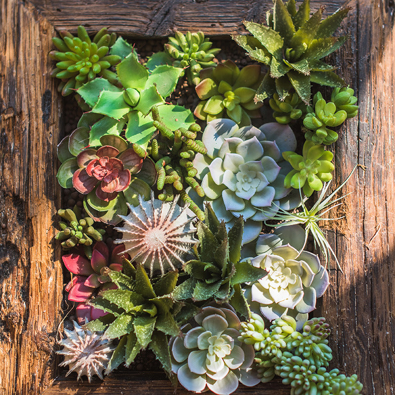 Eco-Friendly Artificial Bonsai Plant for Home Decor