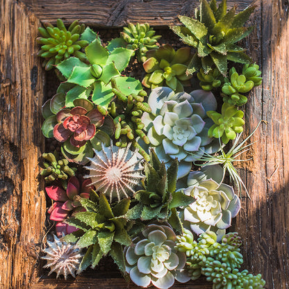 Eco-Friendly Artificial Bonsai Plant for Home Decor