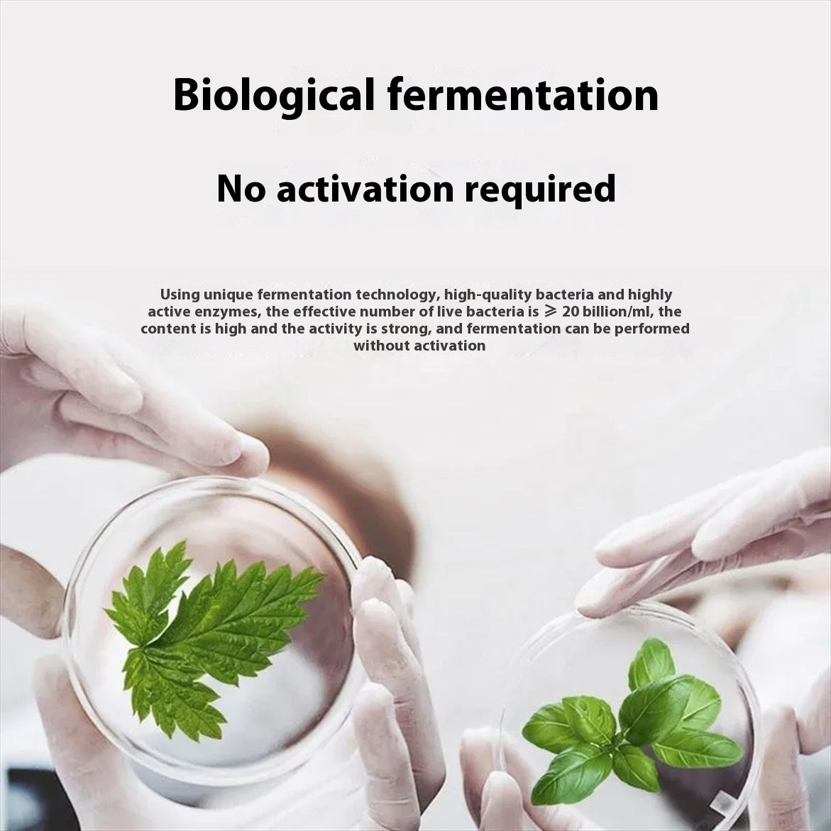 Organic Compost Accelerator for Fast Results