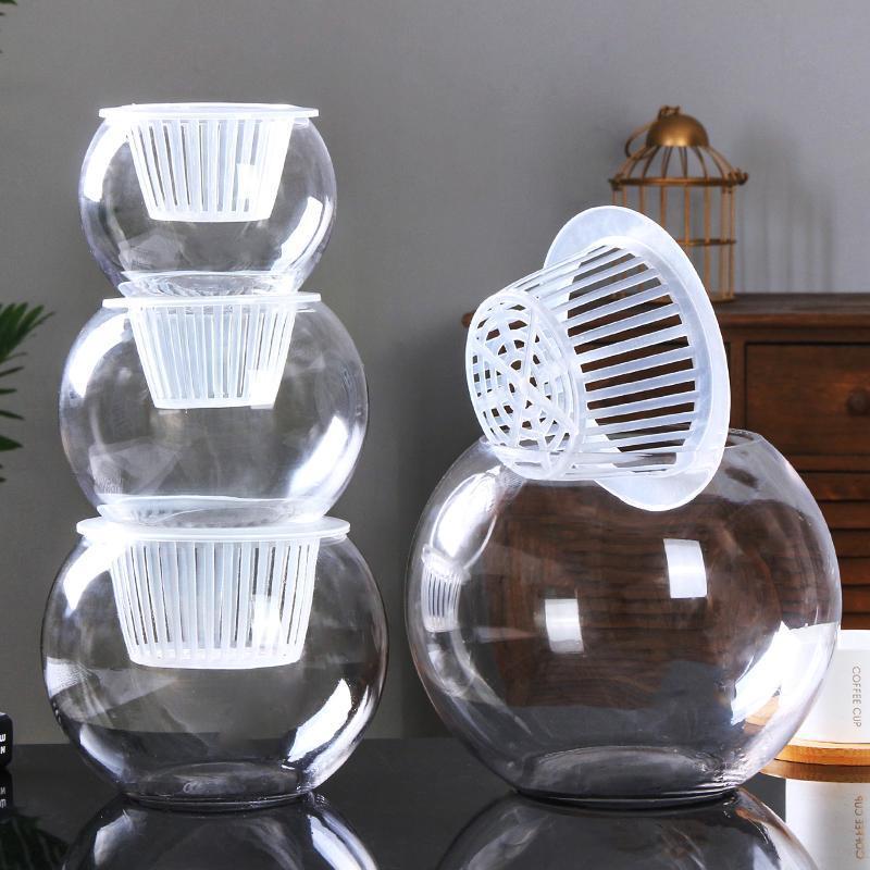 Clear Round Hydroponic Plant Vase for Indoor Gardening
