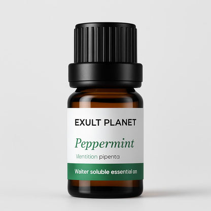 Natural Aromatherapy Essential Oils Set - Eco-Friendly Glass Bottles