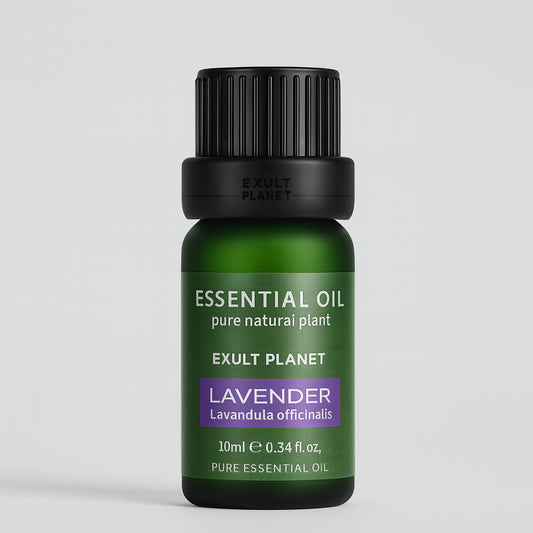 Lavender Essential Oil in Eco-Friendly Glass Bottle for Aromatherapy
