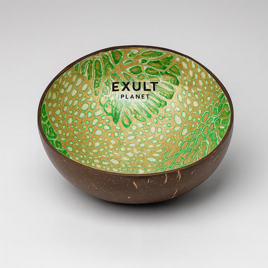 Eco-Friendly Coconut Shell Bowls - Sustainable, Colorful, and Durable