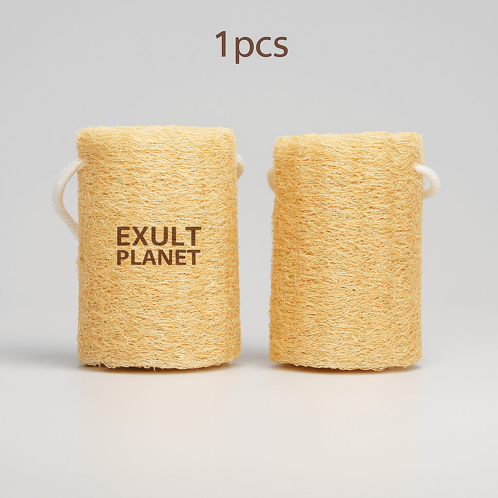 Eco-Friendly Biodegradable Loofah Sponge Dish Cloth for Cleaning