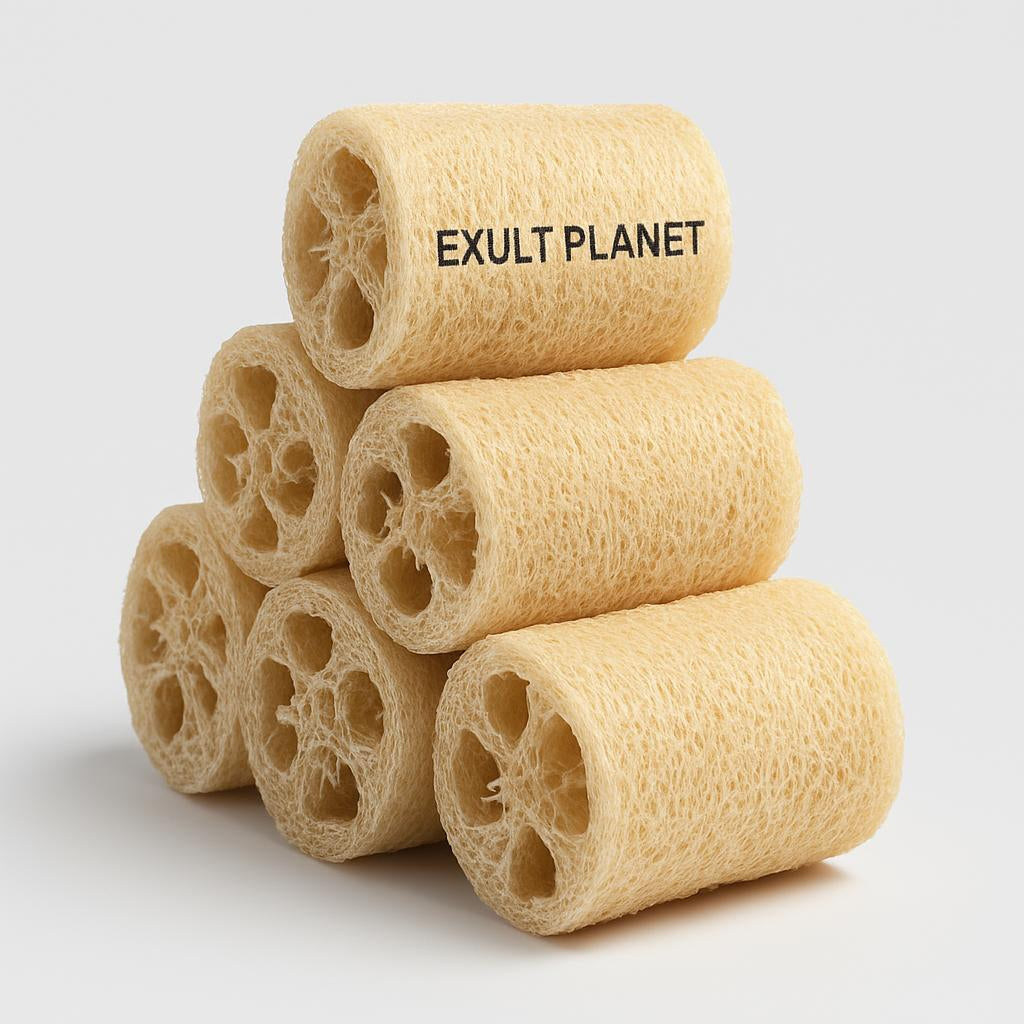 Eco-Friendly Biodegradable Loofah Sponge Dish Cloth