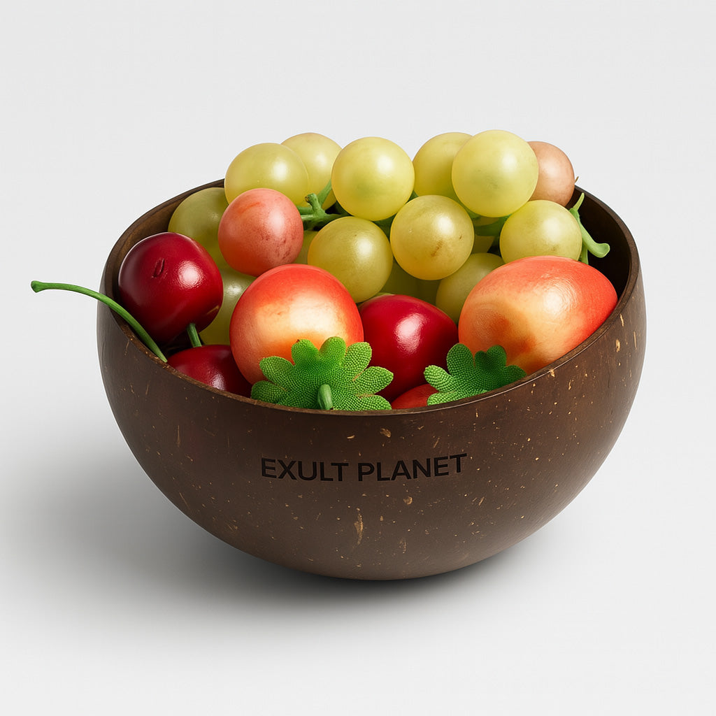 Eco-Friendly Coconut Shell Bowl - Sustainable, Natural, Zero-Waste