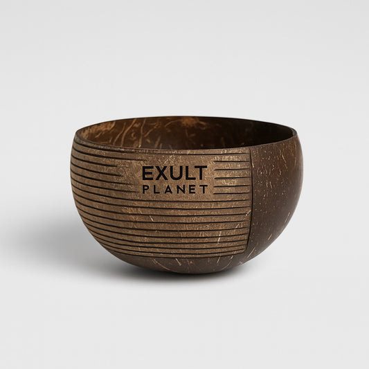 Eco-Friendly Coconut Shell Rice Bowls - Sustainable Biodegradable Dinnerware Set