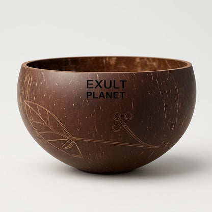 Eco-Friendly Coconut Shell Rice Bowls - Sustainable Biodegradable Dinnerware Set