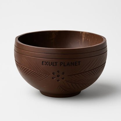 Eco-Friendly Coconut Shell Rice Bowls - Sustainable Biodegradable Dinnerware Set
